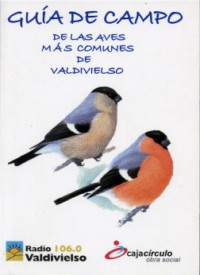 Radio Valdivielso